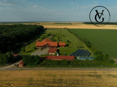 Domeniu complet utilat 4,9 ha, cu iazuri și Vila premium – Grădiștea – foto 2