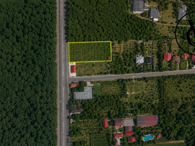Teren intravilan cu acces direct DN1 | Saftica – Balotesti