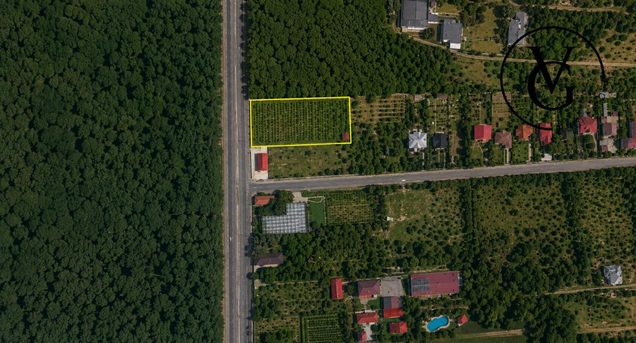Teren intravilan cu acces direct DN1 | Saftica – Balotesti – foto 1
