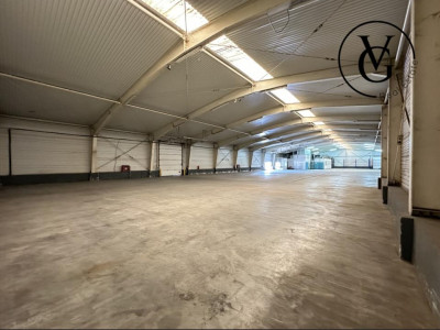 Spatiu industrial | Hala + birouri | 4.871 mp teren | Tulcea – foto 3